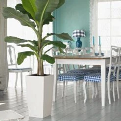 Prosperplast Kunststof Urbi Bloempot/plantenpot Met Binnenpot Wit 32 X 32 X 61 Cm - 21/49 Liter - Hoge Vierkante Bloempotten -Tuin Kweekbenodigdheden 1200x1200 1083