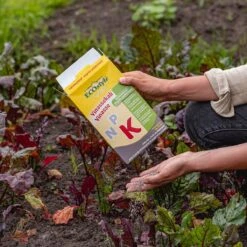 ECOStyle Vinassekali Organische Meststof - Vuor Kaliumtekort - Voor Moestuin, Siertuin En Fruit - Hoger Weerstand Tegen Droogte & Vorst - 15M² - 800 GR 15 ECOStyle Vinassekali Organische Meststof - Vuor Kaliumtekort - Voor Moestuin, Siertuin En Fruit - Hoger Weerstand Tegen Droogte & Vorst - 15M² - 800 GR -Tuin Kweekbenodigdheden 1200x1200 110