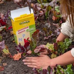 ECOStyle Vinassekali Organische Meststof - Vuor Kaliumtekort - Voor Moestuin, Siertuin En Fruit - Hoger Weerstand Tegen Droogte & Vorst - 15M² - 800 GR 16 ECOStyle Vinassekali Organische Meststof - Vuor Kaliumtekort - Voor Moestuin, Siertuin En Fruit - Hoger Weerstand Tegen Droogte & Vorst - 15M² - 800 GR -Tuin Kweekbenodigdheden 1200x1200 111