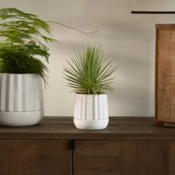 Riviera Maison Plantenbak Rond, Bloempot Met Ribbel - RM Let It Grow Planter - Wit - Porselein - Maat S 11 Riviera Maison Plantenbak Rond, Bloempot Met Ribbel - RM Let It Grow Planter - Wit - Porselein - Maat S -Tuin Kweekbenodigdheden 1200x1200 1111