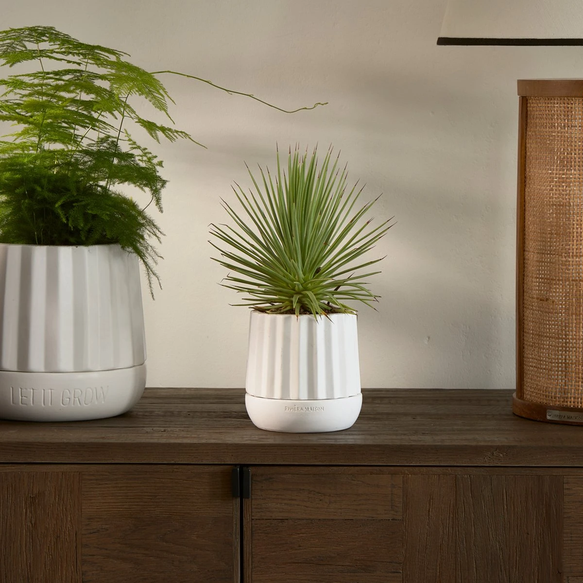 Riviera Maison Plantenbak Rond, Bloempot Met Ribbel - RM Let It Grow Planter - Wit - Porselein - Maat S 5 Riviera Maison Plantenbak Rond, Bloempot Met Ribbel - RM Let It Grow Planter - Wit - Porselein - Maat S - Afbeelding 3