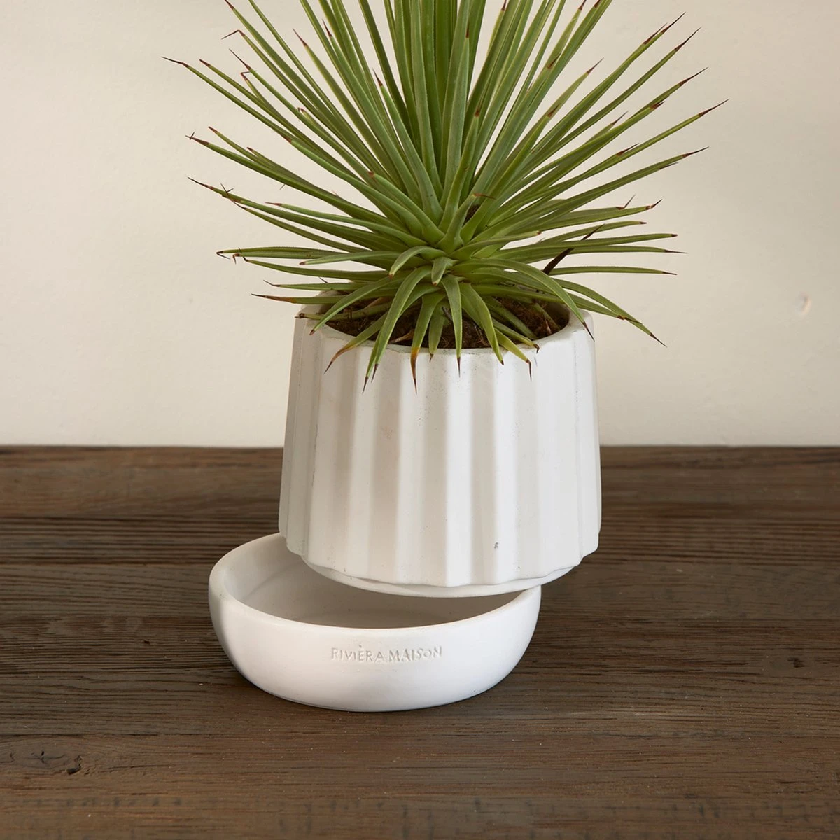 Riviera Maison Plantenbak Rond, Bloempot Met Ribbel - RM Let It Grow Planter - Wit - Porselein - Maat S 6 Riviera Maison Plantenbak Rond, Bloempot Met Ribbel - RM Let It Grow Planter - Wit - Porselein - Maat S - Afbeelding 4