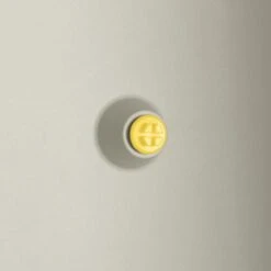 Elho Vivo Structure Finish Lang 90 - Plantenbak Voor Binnen & Buiten - Ø 88 X H 41 - Wit -Tuin Kweekbenodigdheden 1200x1200 1120