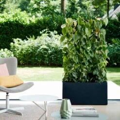 Elho Vivo Matt Finish Lang Wielen 90 - Grote Staande Plantenbak Voor Binnen & Buiten - Gemaakt Van Gereycled Plastic - L 39 X W 88 X H 41 Cm - Zwart 18 Elho Vivo Matt Finish Lang Wielen 90 - Grote Staande Plantenbak Voor Binnen & Buiten - Gemaakt Van Gereycled Plastic - L 39 X W 88 X H 41 Cm - Zwart -Tuin Kweekbenodigdheden 1200x1200 1131