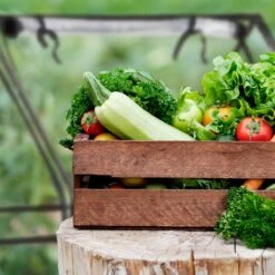 Relaxdays Kweekkas Pvc Met 2 Deuren - Lage Foliekas - Kleine Tuinkas - Plantenkas Tuin -Tuin Kweekbenodigdheden 1200x1200 1154