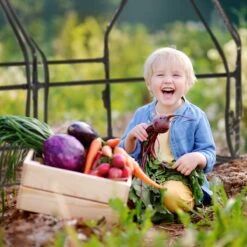 Relaxdays Kweekkas Pvc Met 2 Deuren - Lage Foliekas - Kleine Tuinkas - Plantenkas Tuin -Tuin Kweekbenodigdheden 1200x1200 1155