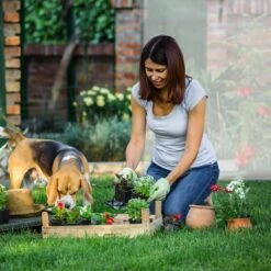 Relaxdays Tomatenkas XL - Met Schuin Dak - Kweekkas Voor Tomaten - Plastic Serre -Tuin Kweekbenodigdheden 1200x1200 1165