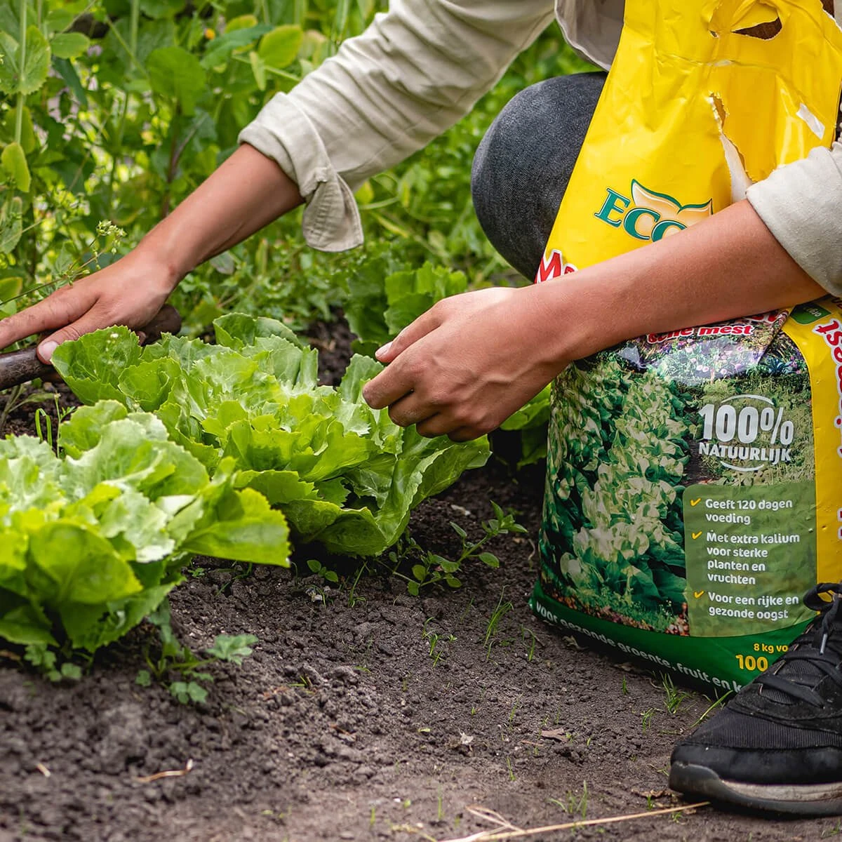 ECOStyle Moestuinmest Voor Eetbare Gewassen - Voor Fruit En Moestuin - Rijk Aan Kalium - 120 Dagen Voeding - 80 M² - 8 KG 6 ECOStyle Moestuinmest Voor Eetbare Gewassen - Voor Fruit En Moestuin - Rijk Aan Kalium - 120 Dagen Voeding - 80 M² - 8 KG - Afbeelding 4
