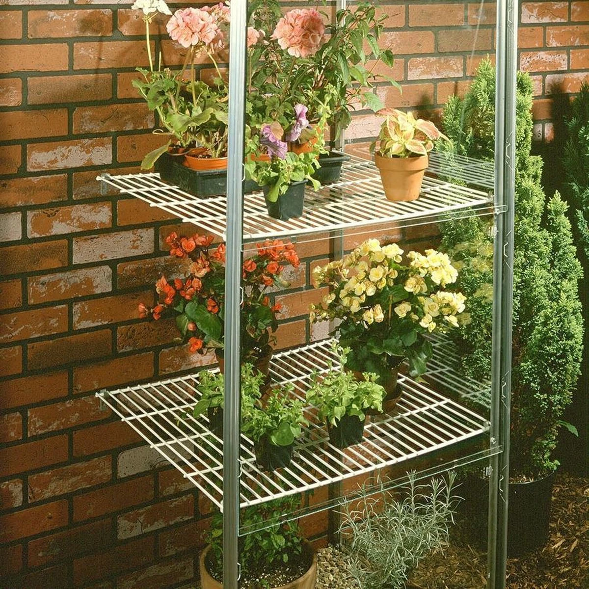 Royal Well Wall Garden 42 Muurkas Glas Groen 5 Royal Well Wall Garden 42 Muurkas Glas Groen - Afbeelding 3