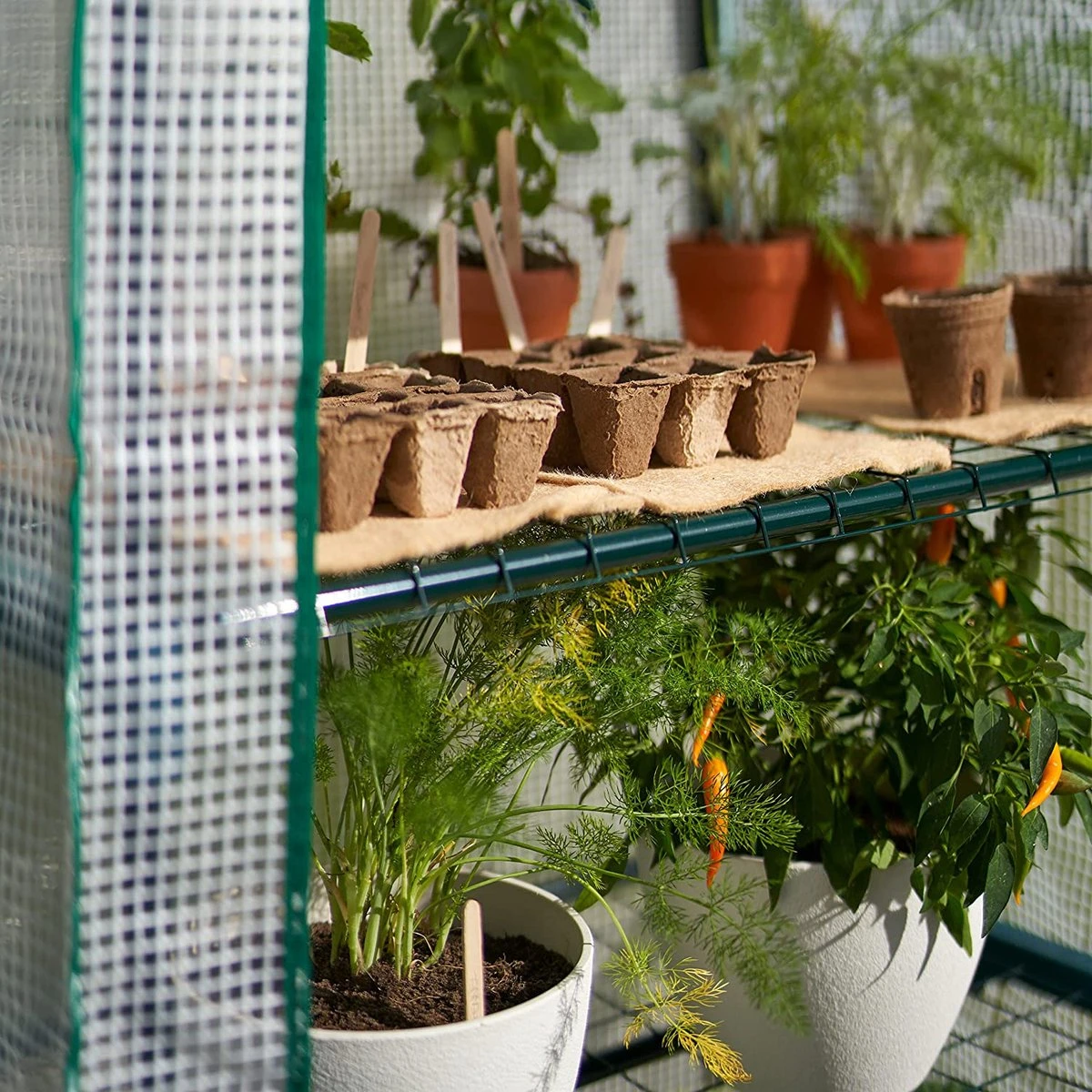 Bramble - Tuinkassen - 5 Lagen - Miniserre - Draadplanken - Gemakkelijk Te Monteren - 69 X 49 X 193 Cm 9 Bramble - Tuinkassen - 5 Lagen - Miniserre - Draadplanken - Gemakkelijk Te Monteren - 69 X 49 X 193 Cm - Afbeelding 7