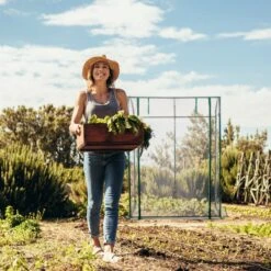 Relaxdays Tomatenkas 170 X 130 X 75 Cm - Folie Tuinkas - Grote Tomaten Kweekkas - Foliekas -Tuin Kweekbenodigdheden 1200x1200 1243