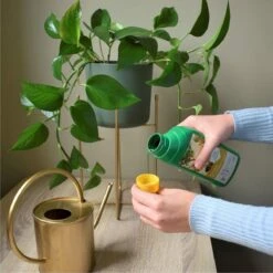 Pokon Kamerplanten Voeding - 500ml - Plantenvoeding - 20ml Per 1L Water 13 Pokon Kamerplanten Voeding - 500ml - Plantenvoeding - 20ml Per 1L Water -Tuin Kweekbenodigdheden 1200x1200 132