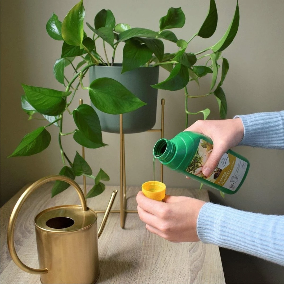 Pokon Kamerplanten Voeding - 500ml - Plantenvoeding - 20ml Per 1L Water 8 Pokon Kamerplanten Voeding - 500ml - Plantenvoeding - 20ml Per 1L Water - Afbeelding 6