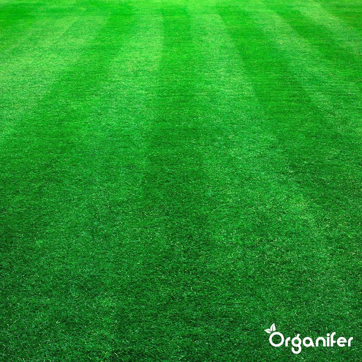 Kalk Korrel Meststof Verrijkt Met Magnesium (20Kg - Voor 400m2) Voor Dieper Bladgroen (+PH) Speciaal Voor Gazon, Perken, Moestuin En Openbaar Groen - Organifer 17 Kalk Korrel Meststof Verrijkt Met Magnesium (20Kg - Voor 400m2) Voor Dieper Bladgroen (+PH) Speciaal Voor Gazon, Perken, Moestuin En Openbaar Groen - Organifer - Afbeelding 15