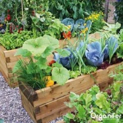 Kalk Korrel Meststof Verrijkt Met Magnesium (20Kg - Voor 400m2) Voor Dieper Bladgroen (+PH) Speciaal Voor Gazon, Perken, Moestuin En Openbaar Groen - Organifer 36 Kalk Korrel Meststof Verrijkt Met Magnesium (20Kg - Voor 400m2) Voor Dieper Bladgroen (+PH) Speciaal Voor Gazon, Perken, Moestuin En Openbaar Groen - Organifer -Tuin Kweekbenodigdheden 1200x1200 147