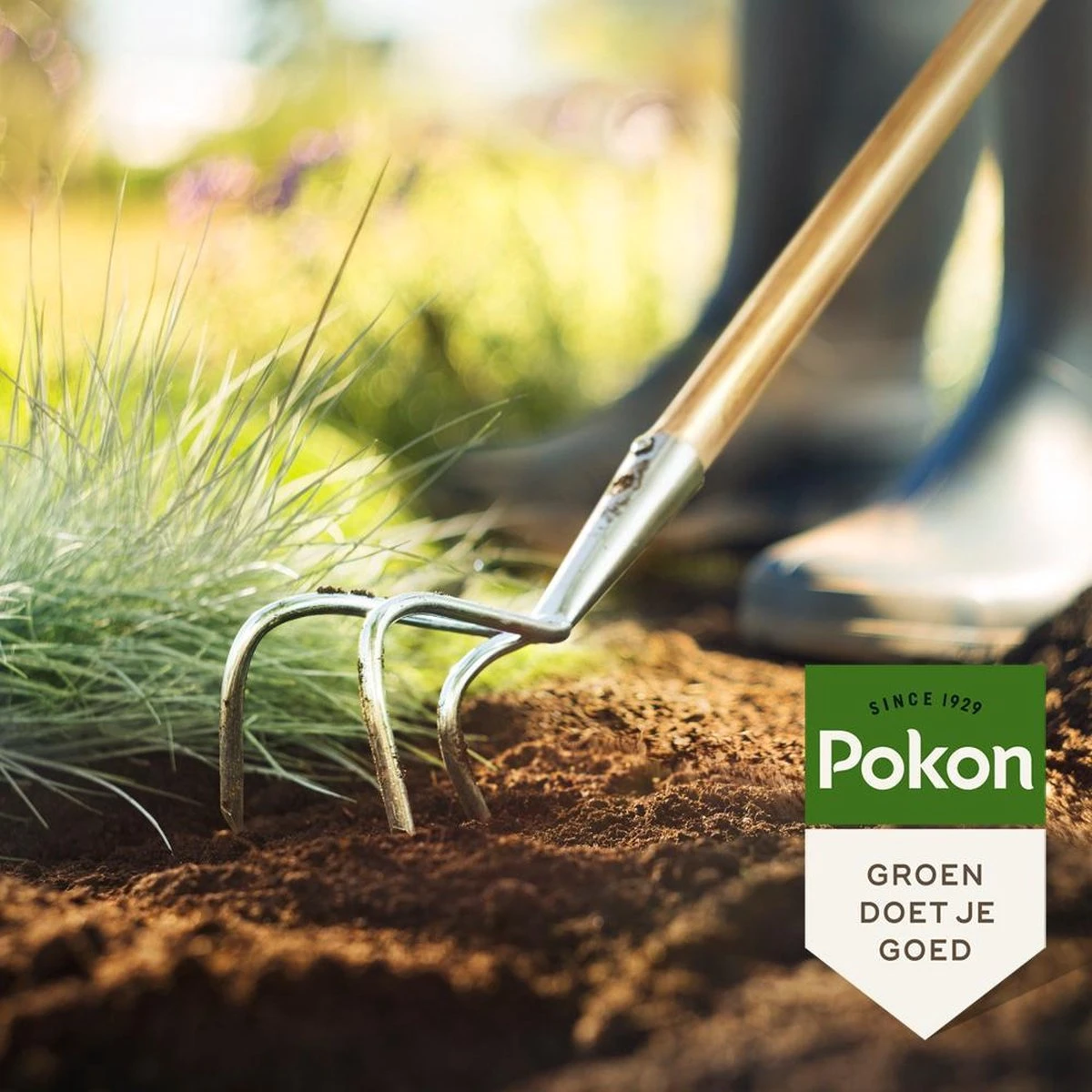 Pokon Bio Bemeste Tuincompost - 20l - Bodemverbeteraar - Geschikt Voor Ophoging En Aanplanten 6 Pokon Bio Bemeste Tuincompost - 20l - Bodemverbeteraar - Geschikt Voor Ophoging En Aanplanten - Afbeelding 4