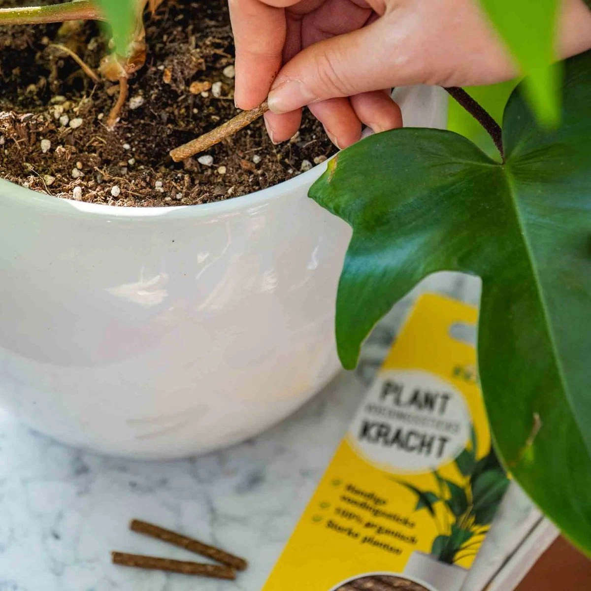 ECOstyle PlantKracht Voedingssticks - Sterke En Weerbare Potplanten - 100% Organische Planten - 120 Dagen Voeding - 30 Stuks 4 ECOstyle PlantKracht Voedingssticks - Sterke En Weerbare Potplanten - 100% Organische Planten - 120 Dagen Voeding - 30 Stuks - Afbeelding 2