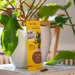 ECOstyle PlantKracht Voedingssticks - Sterke En Weerbare Potplanten - 100% Organische Planten - 120 Dagen Voeding - 30 Stuks 7 ECOstyle PlantKracht Voedingssticks - Sterke En Weerbare Potplanten - 100% Organische Planten - 120 Dagen Voeding - 30 Stuks -Tuin Kweekbenodigdheden 1200x1200 160