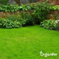 IJzersulfaat Meststof – Mos Verwijderaar – 5kg -Voor 250m2 (organifer) 16 IJzersulfaat Meststof – Mos Verwijderaar – 5kg -Voor 250m2 (organifer) -Tuin Kweekbenodigdheden 1200x1200 18