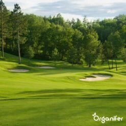 Gazonmest All-In-One (10Kg - Voor 200m2) Voor Een Diepgroen Sterk Gazon Zonder Mos En Onkruid - Complete Meststof Met Kalk En Grasversterker - Organifer 25 Gazonmest All-In-One (10Kg - Voor 200m2) Voor Een Diepgroen Sterk Gazon Zonder Mos En Onkruid - Complete Meststof Met Kalk En Grasversterker - Organifer -Tuin Kweekbenodigdheden 1200x1200 204