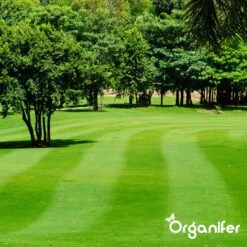 IJzersulfaat Meststof – Mos Verwijderaar – 5kg -Voor 250m2 (organifer) 20 IJzersulfaat Meststof – Mos Verwijderaar – 5kg -Voor 250m2 (organifer) -Tuin Kweekbenodigdheden 1200x1200 22