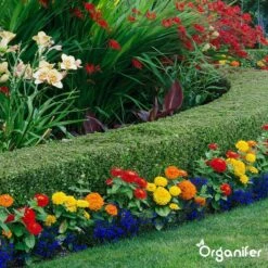 Lavagruis Uit Eifel Oergesteente (20Kg Voor 200m2) Grof Lavameel 0-2mm - Organifer 22 Lavagruis Uit Eifel Oergesteente (20Kg Voor 200m2) Grof Lavameel 0-2mm - Organifer -Tuin Kweekbenodigdheden 1200x1200 226