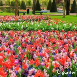 Lavagruis Uit Eifel Oergesteente (20Kg Voor 200m2) Grof Lavameel 0-2mm - Organifer 23 Lavagruis Uit Eifel Oergesteente (20Kg Voor 200m2) Grof Lavameel 0-2mm - Organifer -Tuin Kweekbenodigdheden 1200x1200 227