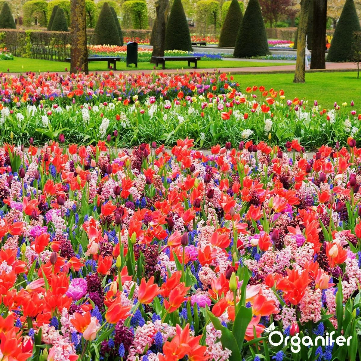 Lavagruis Uit Eifel Oergesteente (20Kg Voor 200m2) Grof Lavameel 0-2mm - Organifer 9 Lavagruis Uit Eifel Oergesteente (20Kg Voor 200m2) Grof Lavameel 0-2mm - Organifer - Afbeelding 7