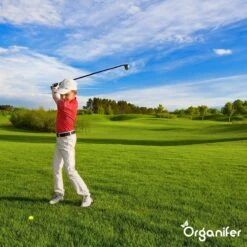 Lavagruis Uit Eifel Oergesteente (20Kg Voor 200m2) Grof Lavameel 0-2mm - Organifer 24 Lavagruis Uit Eifel Oergesteente (20Kg Voor 200m2) Grof Lavameel 0-2mm - Organifer -Tuin Kweekbenodigdheden 1200x1200 228