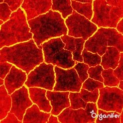 Lavagruis Uit Eifel Oergesteente (20Kg Voor 200m2) Grof Lavameel 0-2mm - Organifer 25 Lavagruis Uit Eifel Oergesteente (20Kg Voor 200m2) Grof Lavameel 0-2mm - Organifer -Tuin Kweekbenodigdheden 1200x1200 229