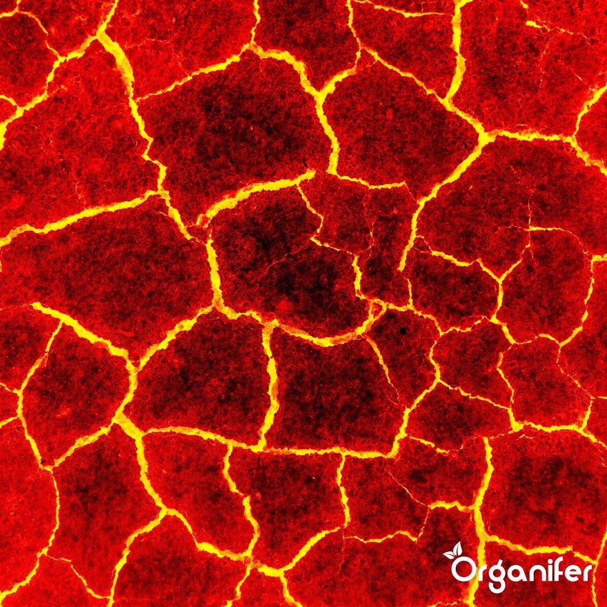 Lavagruis Uit Eifel Oergesteente (20Kg Voor 200m2) Grof Lavameel 0-2mm - Organifer 11 Lavagruis Uit Eifel Oergesteente (20Kg Voor 200m2) Grof Lavameel 0-2mm - Organifer - Afbeelding 9