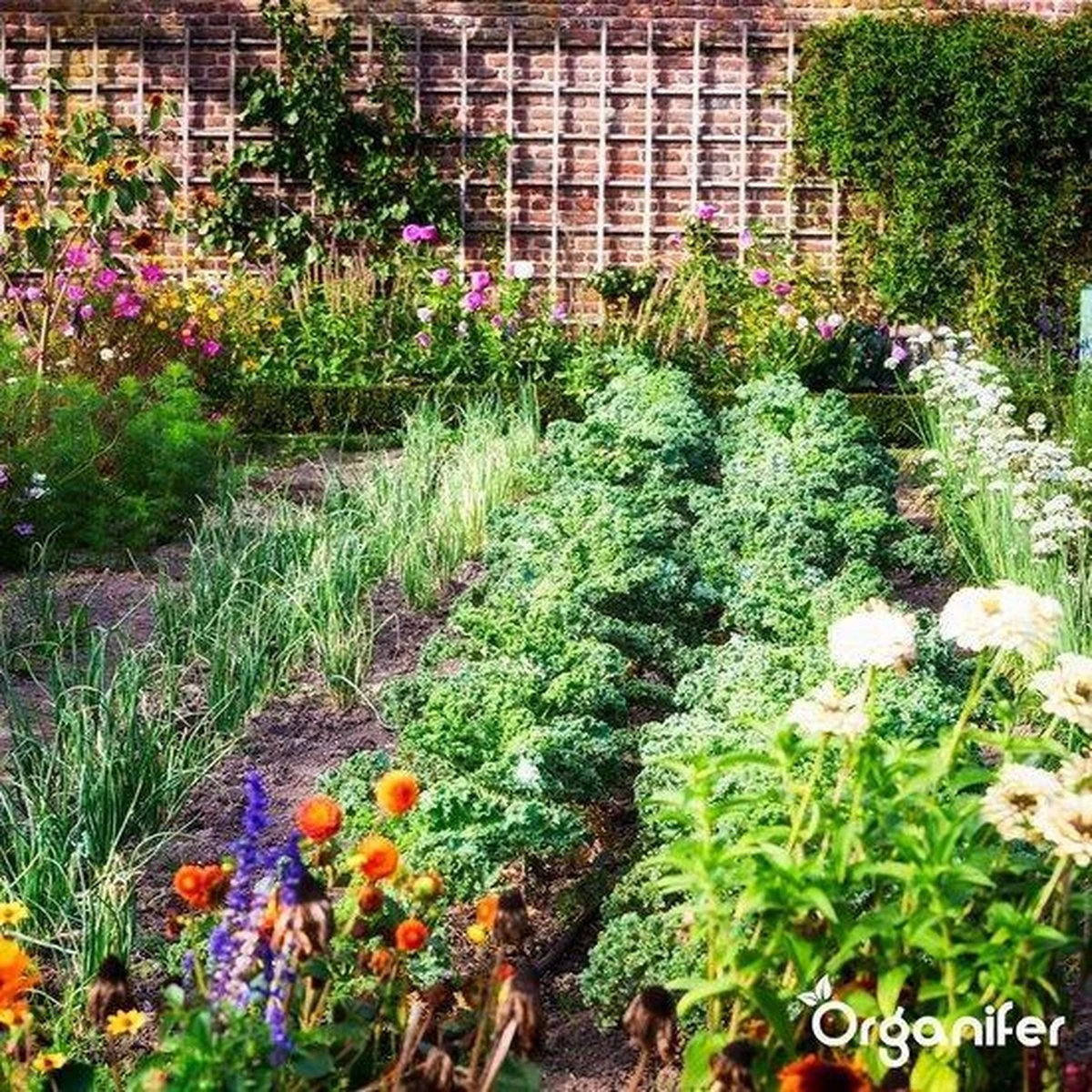Lavagruis Uit Eifel Oergesteente (20Kg Voor 200m2) Grof Lavameel 0-2mm - Organifer 16 Lavagruis Uit Eifel Oergesteente (20Kg Voor 200m2) Grof Lavameel 0-2mm - Organifer - Afbeelding 14