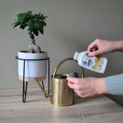 Pokon Bio Bonsai Voeding - 250ml - Plantenvoeding (bio) - 7ml Per 1L Water 15 Pokon Bio Bonsai Voeding - 250ml - Plantenvoeding (bio) - 7ml Per 1L Water -Tuin Kweekbenodigdheden 1200x1200 242