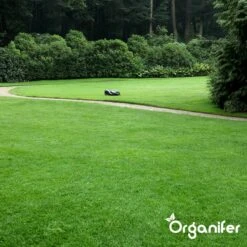 IJzersulfaat Meststof – Mos Verwijderaar – 5kg -Voor 250m2 (organifer) 23 IJzersulfaat Meststof – Mos Verwijderaar – 5kg -Voor 250m2 (organifer) -Tuin Kweekbenodigdheden 1200x1200 25