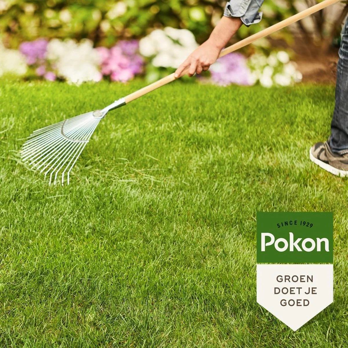 Pokon Gazonmest Met Kalk - 2kg - Mest - Geschikt Voor 30m² - 120 Dagen Voeding 6 Pokon Gazonmest Met Kalk - 2kg - Mest - Geschikt Voor 30m² - 120 Dagen Voeding - Afbeelding 4
