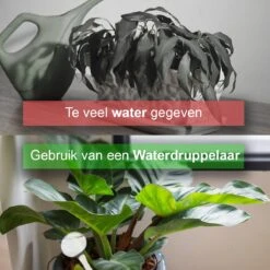 Waterdruppelaar Set Van 12 Stuks - Waterdruppelaar Voor Planten - Watergeefsysteem - Waterbol Irrigatiesysteem - Automatisch Druppelsysteem Voor Kamerplanten & Tuin - Watergever - Transparant - 15cm 15 Waterdruppelaar Set Van 12 Stuks - Waterdruppelaar Voor Planten - Watergeefsysteem - Waterbol Irrigatiesysteem - Automatisch Druppelsysteem Voor Kamerplanten & Tuin - Watergever - Transparant - 15cm -Tuin Kweekbenodigdheden 1200x1200 290