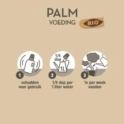 Pokon Bio Palm Voeding - 250ml - Plantenvoeding (bio) - 7ml Per 1L Water 11 Pokon Bio Palm Voeding - 250ml - Plantenvoeding (bio) - 7ml Per 1L Water -Tuin Kweekbenodigdheden 1200x1200 31