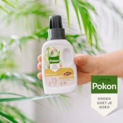 Pokon Bio Palm Voeding - 250ml - Plantenvoeding (bio) - 7ml Per 1L Water 13 Pokon Bio Palm Voeding - 250ml - Plantenvoeding (bio) - 7ml Per 1L Water -Tuin Kweekbenodigdheden 1200x1200 32