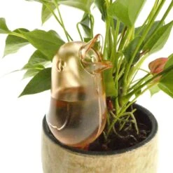 JS Drippy - Waterdruppelaars Set Van 2 Stuks - Druppelaar Vogel - Druppelsysteem Planten - Watergeefsysteem Kamerplanten - Waterbol - Roze 9 JS Drippy - Waterdruppelaars Set Van 2 Stuks - Druppelaar Vogel - Druppelsysteem Planten - Watergeefsysteem Kamerplanten - Waterbol - Roze -Tuin Kweekbenodigdheden 1200x1200 332
