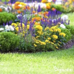 Koemestkorrels 3in1 (20Kg Voor 200m2) Allround Organische Meststof - Direct Opneembare Voeding - Langdurige Werking > 120 Dagen - Geurloos - Verbeterd Bodem - Lavameel Toevoeging - Versterkt Gras En Planten - Organifer -Tuin Kweekbenodigdheden 1200x1200 4