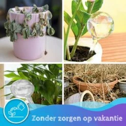 Summer Spark Waterdruppelaar Voor Planten 6 Stuks Transparant – 27 CM X 8 CM – 250 ML – Automatisch Watergeefsysteem Voor Kamerplanten – Planten Watergever Met Druppelsysteem – Waterbol 12 Summer Spark Waterdruppelaar Voor Planten 6 Stuks Transparant – 27 CM X 8 CM – 250 ML – Automatisch Watergeefsysteem Voor Kamerplanten – Planten Watergever Met Druppelsysteem – Waterbol -Tuin Kweekbenodigdheden 1200x1200 419