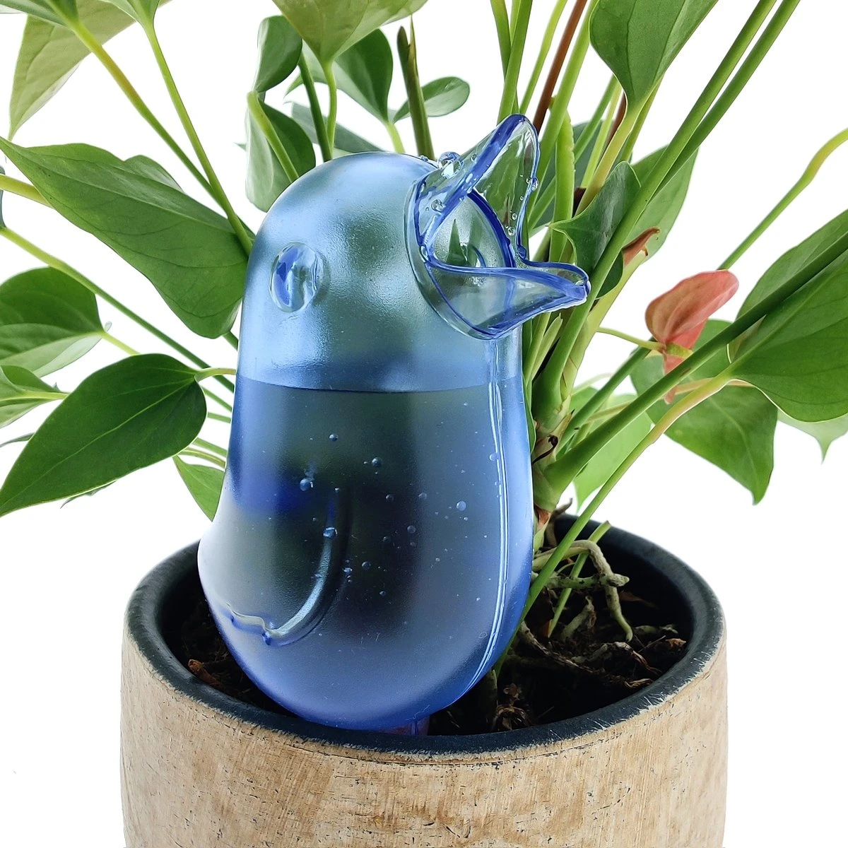 JS Drippy - Waterdruppelaars Set Van 2 Stuks - Druppelaar Vogel - Druppelsysteem Planten - Watergeefsysteem Kamerplanten - Waterbol - Blauw 5 JS Drippy - Waterdruppelaars Set Van 2 Stuks - Druppelaar Vogel - Druppelsysteem Planten - Watergeefsysteem Kamerplanten - Waterbol - Blauw - Afbeelding 3