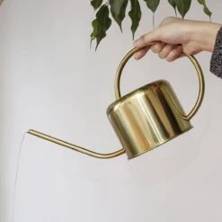 Kikkerland Vintage Gieter - Plantengieter Voor Binnen - Goud - 1,2L - Retro - Metaal -Tuin Kweekbenodigdheden 1200x1200 465