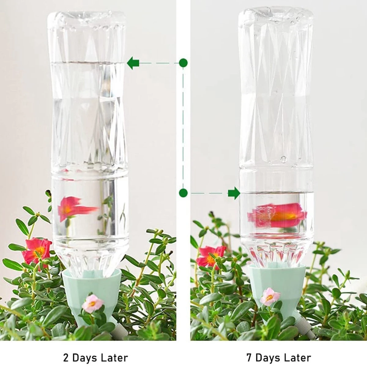 BOTC Waterdruppelaar Set Van 6 Stuks Voor Planten - Watergeefsysteem 7 BOTC Waterdruppelaar Set Van 6 Stuks Voor Planten - Watergeefsysteem - Afbeelding 5