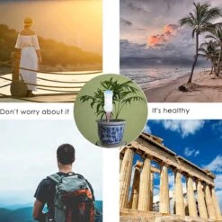 BOTC Waterdruppelaar Set Van 6 Stuks Voor Planten - Watergeefsysteem 18 BOTC Waterdruppelaar Set Van 6 Stuks Voor Planten - Watergeefsysteem -Tuin Kweekbenodigdheden 1200x1200 489