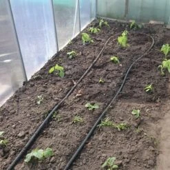 Druppelslang Actiepakket 100 Meter - Leidingshop -Tuin Kweekbenodigdheden 1200x1200 502