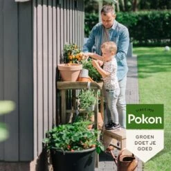 Pokon Bio Moestuin Mest - 1kg - Meststof (biologisch) - 120 Dagen Moestuinvoeding 12 Pokon Bio Moestuin Mest - 1kg - Meststof (biologisch) - 120 Dagen Moestuinvoeding -Tuin Kweekbenodigdheden 1200x1200 51