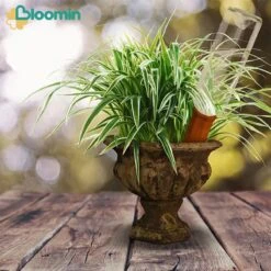 Bloomin Waterdruppelaar Van Terracotta - Waterdruppelaar Voor Planten - Druppelsysteem - Irrigatiesysteem - Watergeefsysteem - Bewateringssysteem - 8 Stuks 12 Bloomin Waterdruppelaar Van Terracotta - Waterdruppelaar Voor Planten - Druppelsysteem - Irrigatiesysteem - Watergeefsysteem - Bewateringssysteem - 8 Stuks -Tuin Kweekbenodigdheden 1200x1200 521