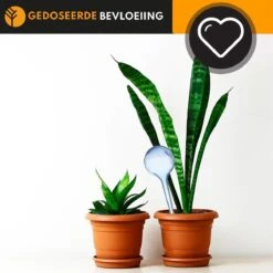 Waterdruppelaar Blauw Set Van 6 Stuks Voor Planten – 27 CM – Automatisch Watergeefsysteem Voor Kamerplanten – Planten Watergever Met Druppelsysteem – Waterbol 10 Waterdruppelaar Blauw Set Van 6 Stuks Voor Planten – 27 CM – Automatisch Watergeefsysteem Voor Kamerplanten – Planten Watergever Met Druppelsysteem – Waterbol -Tuin Kweekbenodigdheden 1200x1200 547