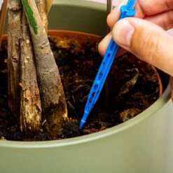 Woonaccessoires- Automatisch Watergeef Systeem | Plantenwaterer - Life Support Irrigatieapparaat | Druppelaar Kamerplanten - | Planten Watergever Met Druppelsysteem 350ml -Tuin Kweekbenodigdheden 1200x1200 598